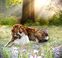 蕾妮斯梅·卡理·卡伦|3|23