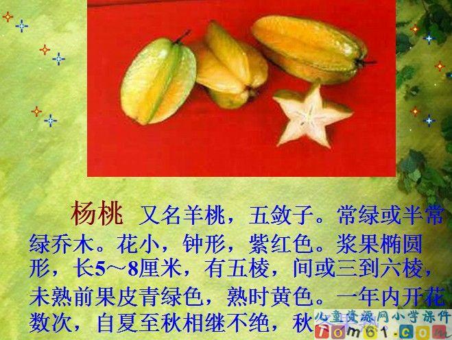 画杨桃课件7