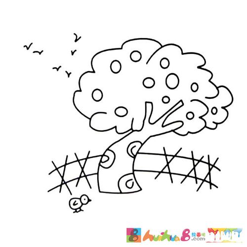 果园里的果树植物简笔画步骤图片大全