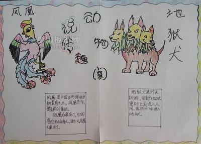 保护动物手抄报