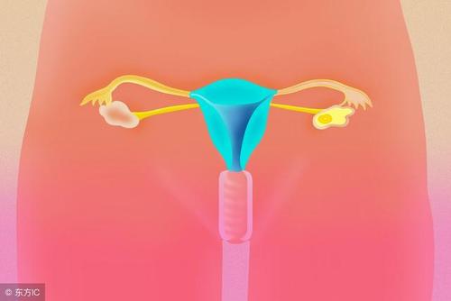 男女的生育的最佳黄金年龄 想生孩子的的可要抓紧时间