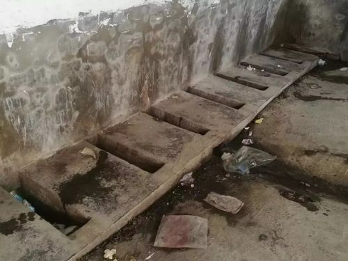 厕蜕破茧蜕变第一所乡村小学旱厕改造完工