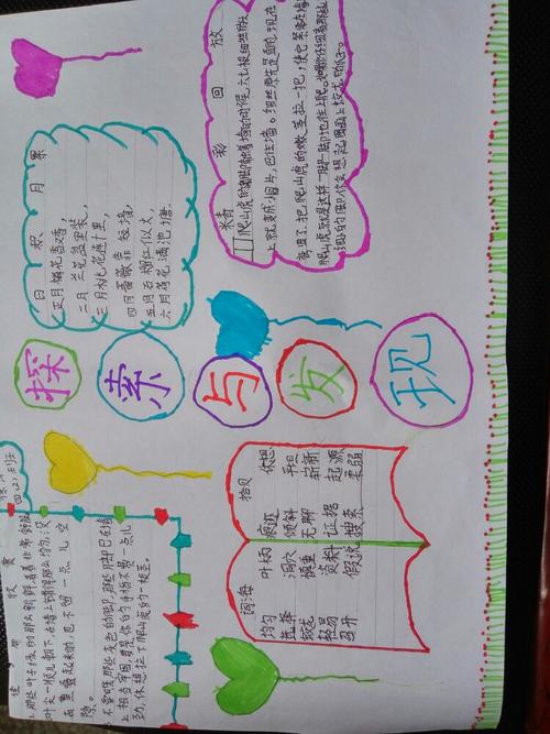 四(2)班手抄报展——探索与发现