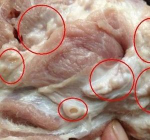 淋巴肉是指未摘除腺体的猪,牛,羊血脖肉和喉气管肉.