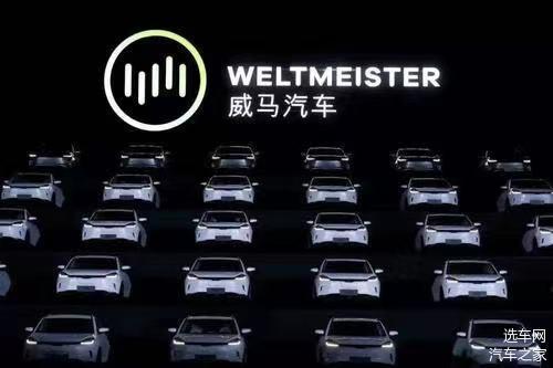 地位受到冲击?威马汽车全资子公司已核准注销