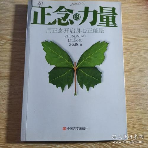 正念的力量:用正念开启身心正能量