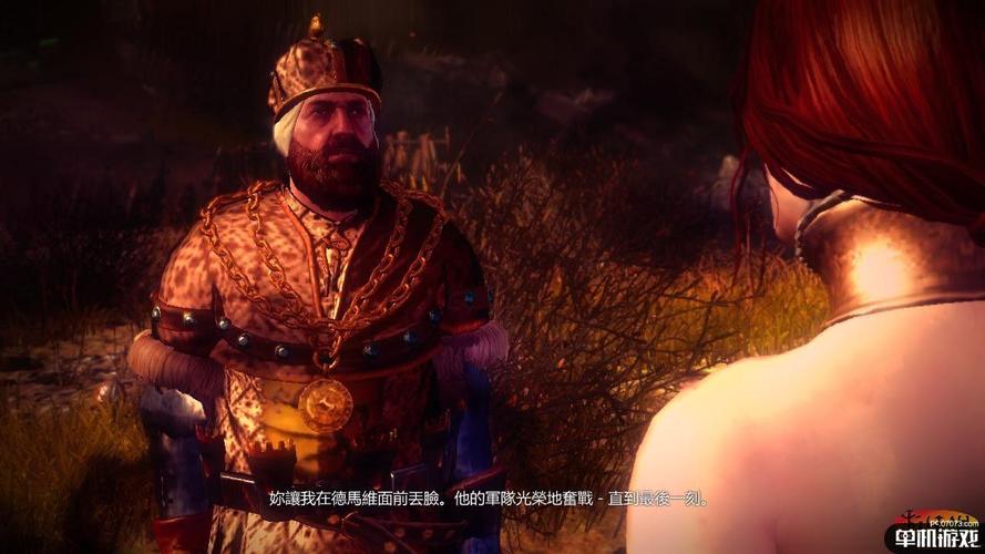 《巫师2:刺客之王》一周目新手详细图文攻略