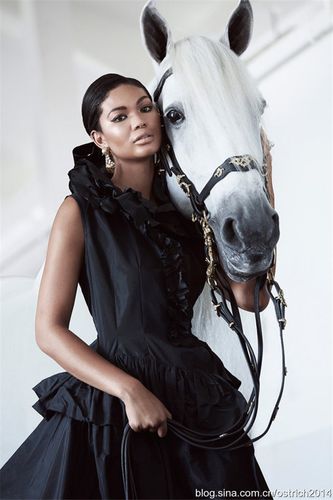 超模chanel iman 演绎优雅白马写真大片 .
