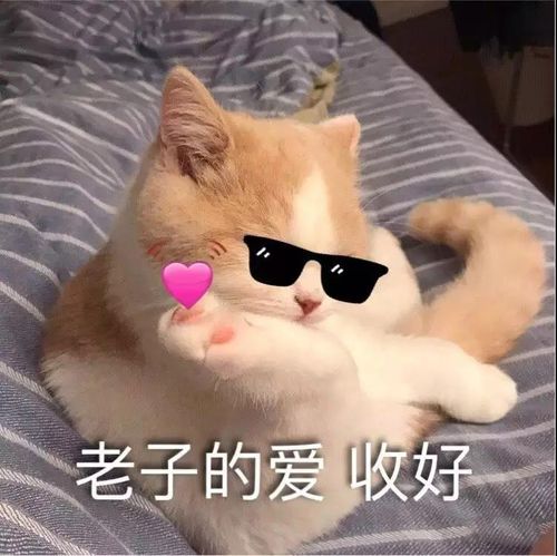 老子的爱好,收好