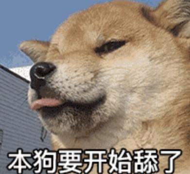 舔狗的终极进化和女神在仙侠世界男耕女织其他竞争者输麻了