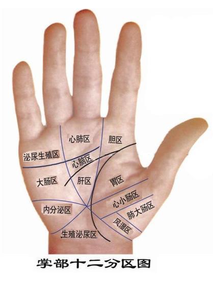 手掌纹路看命运图女人从手相看你的命运