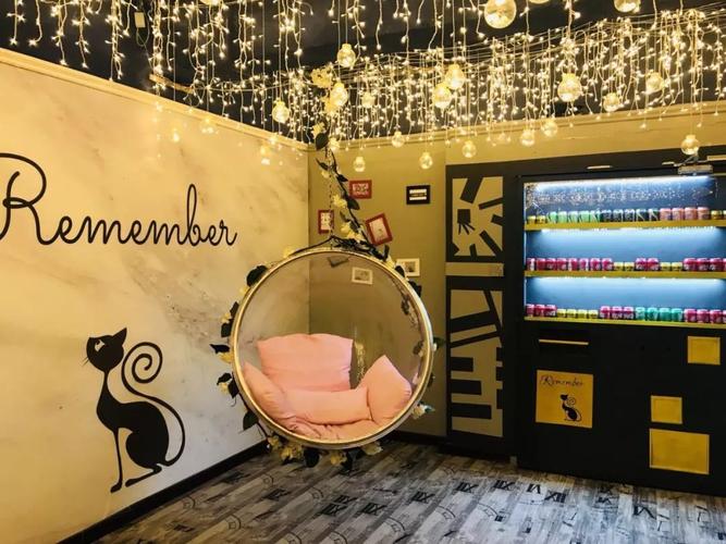 更有纯种喵聚集的猫舍里面有歌手驻唱的隐藏空间音乐酒吧晚上是潮派的