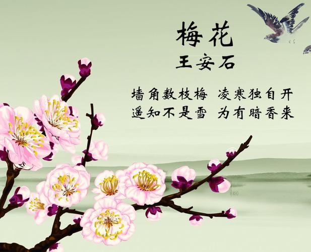 王安石的梅花诗梅花凌寒绽放暗香袭人诗人的形象也跃然纸上