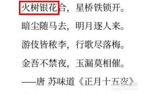 火树银花的树怎么解释