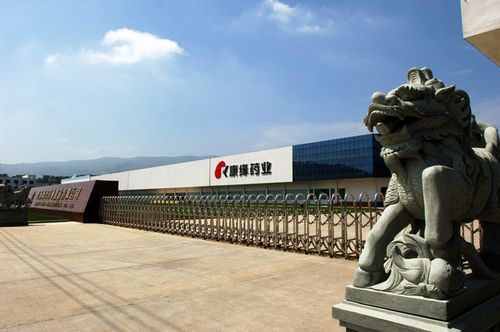  p> a href="#" data-lemmaid="3211316">江苏康缘药业股份有限公司 