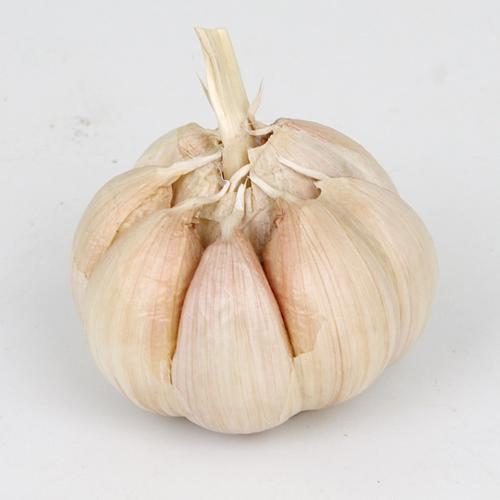 大蒜头250g 新鲜蔬菜调味品 沃鲜汇生鲜超市