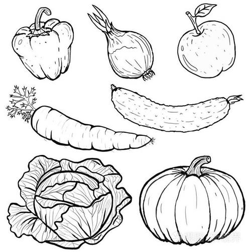 矢量图的蔬菜集合在艺术线条.图标
