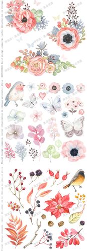 唯美小清新手绘水彩花卉鸟手账装饰画海报png免抠图片