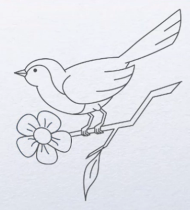 小鸟怎么画简单又漂亮?儿童画教程