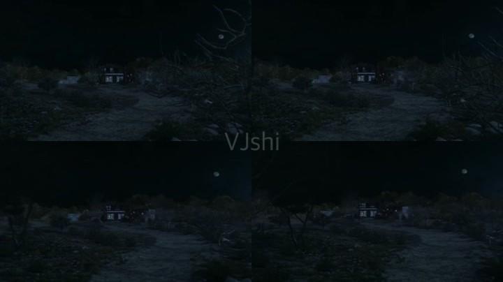 月色下夜晚荒郊野岭