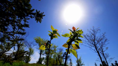 初夏,雨后阳光下