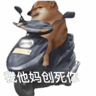 我创死你柴犬狗子骑摩托表情包粉色黄色彩色摩托车都有