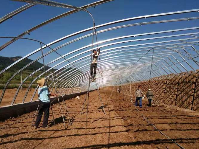 河南暖棚温室大棚厂家价格合理