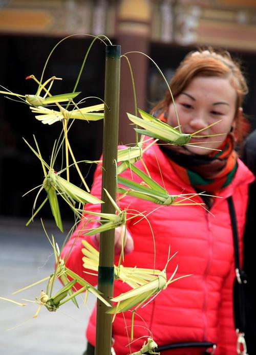 手编蚂蚱逗古城