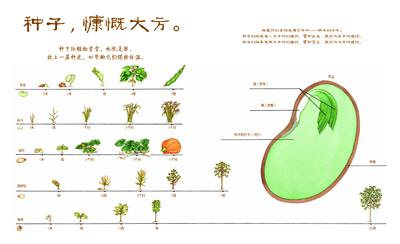 上海借阅绘本《生命科普《蝴蝶,如此耐心》》江苏浙江