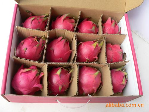 火龙果 红心火龙果 水果批发 有机红心火龙果 绿色生态种植水果