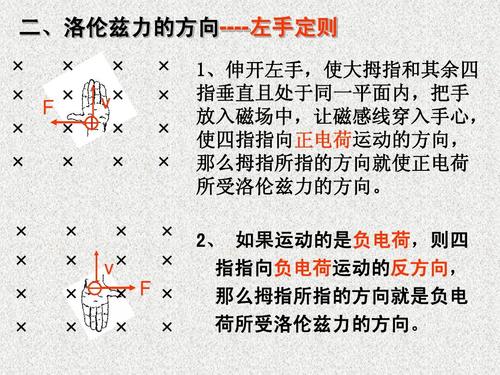 《运动电荷在磁场中受到的力》课件 二,洛伦兹力的方向----左手定则 1
