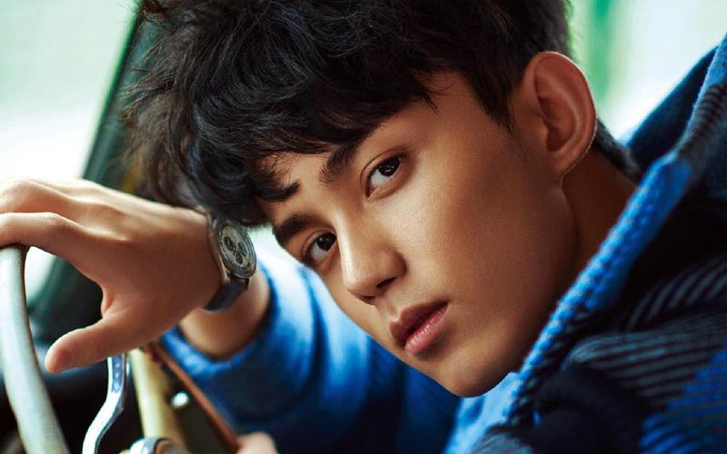 如果把吴磊弟弟脸上的硬伤p掉之后他长这样(又添加两