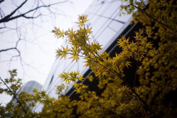 理光gr3——情怀,还是实用?