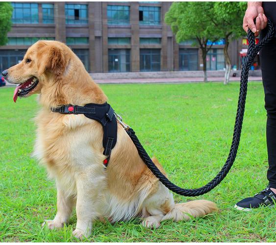 憨憨宠 狗链中型犬大型犬狗绳 狗狗牵引绳金毛萨摩拉布拉多宠物用品