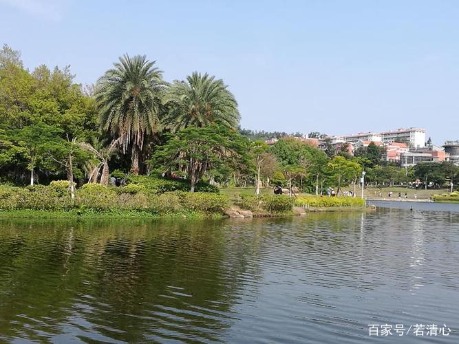 心游笔记:厦门景点思明区一路玩过去(下)