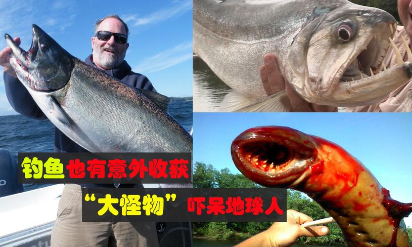 水怪垂钓者钓巨鱼吓呆地球人