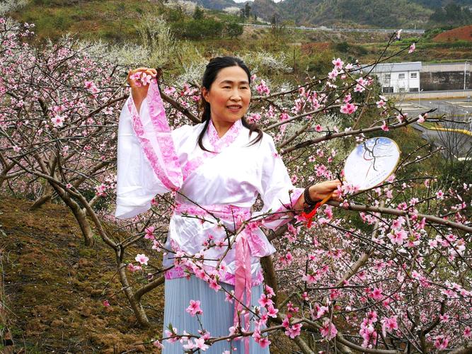 梦入桃花源.
