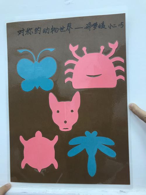 对称的动物世界