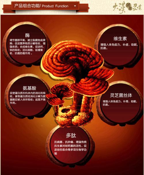 大汉 灵芝菌丝体 专家推荐 72粒装/盒 护肝保肝解酒必备