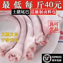 冷冻新鲜猪尾生猪短尾猪尾巴干净无毛 20斤江浙沪皖包邮费
