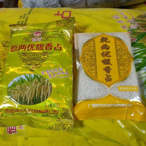 一季稻种植品种——乾两优馥香占,桂中北早稻全生育期133天左右,中稻