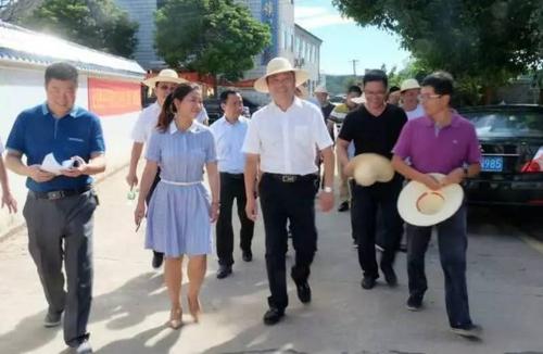 【时政】朱平波,闵秀明调度大荆集镇建设工作