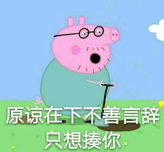 原谅在下不善言辞只想揍你都是小猪佩奇表情67小猪佩奇卡通表情