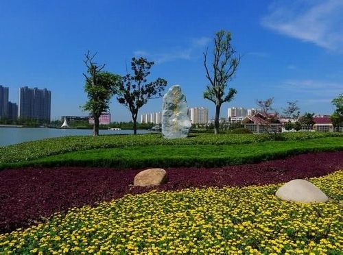 2 盐城·白天鹅公园