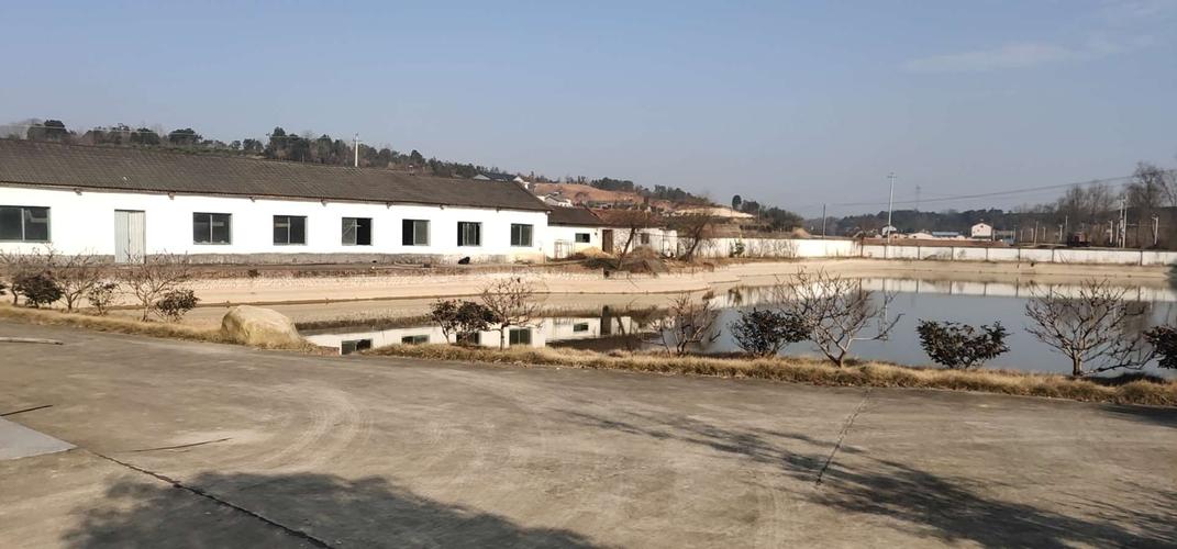 700/宜昌市夷陵区鸦鹊岭镇318万