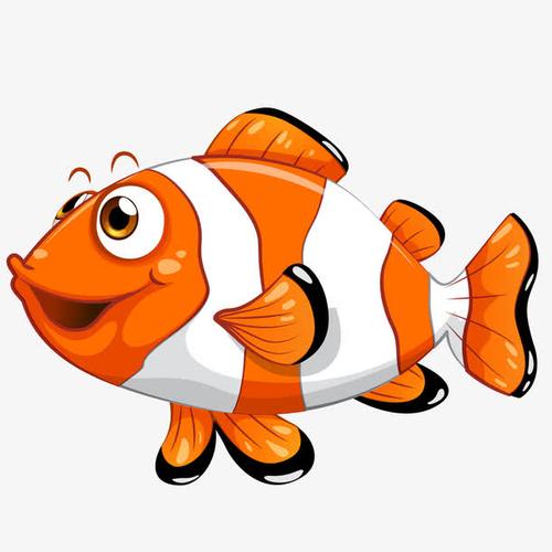 可爱的小丑鱼动物