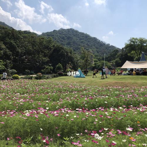 二龙山侏罗纪公园_景点_广州增城二龙山花园自由行热门攻略_我的日常