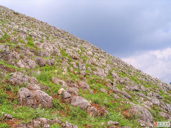 会东县柏岩乡疙瘩山