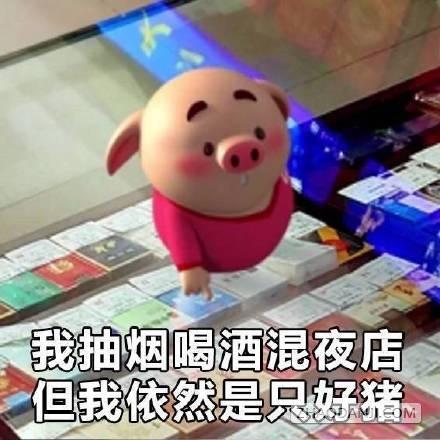 猪小屁猪头表情包