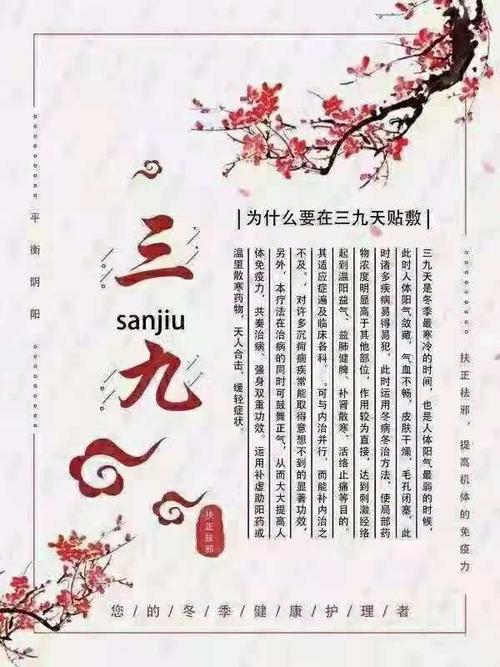 三九贴